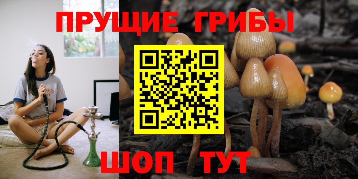 Галлюциногенные грибы GOLDEN TEACHER Сланцы