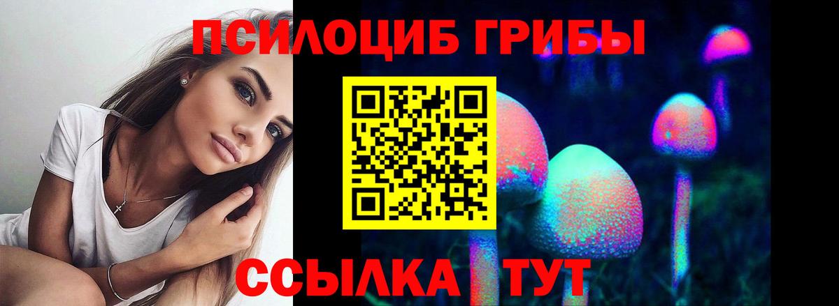 Галлюциногенные грибы мицелий  сколько стоит  Псилоцибиновые грибы Psilocybe  Сланцы  Вход с VPN 